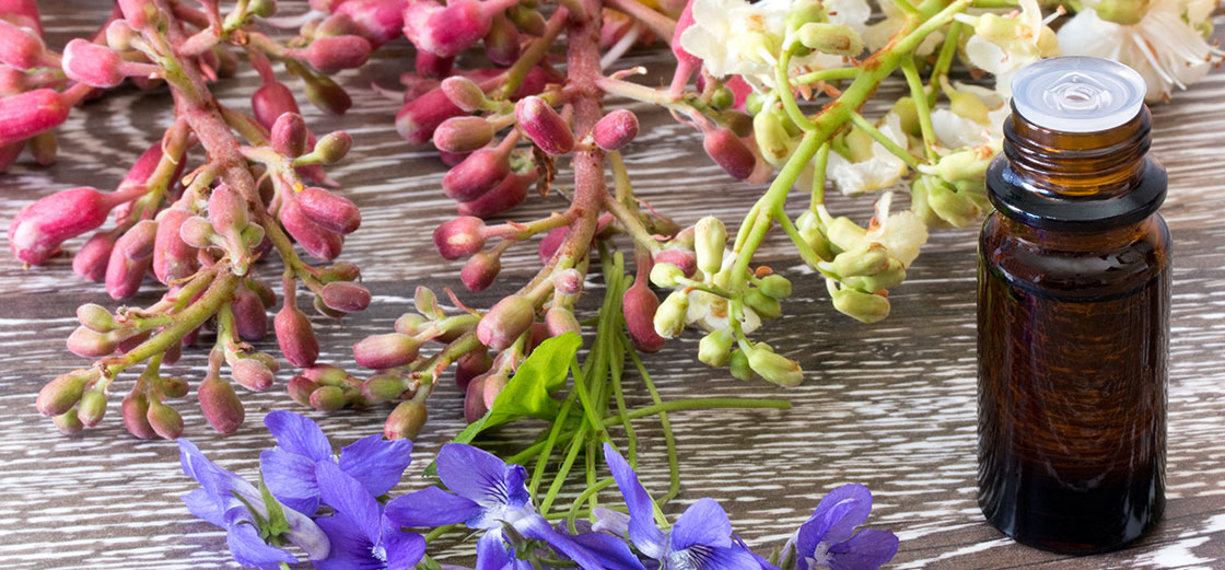 Terapia Floral, a cura está nas flores